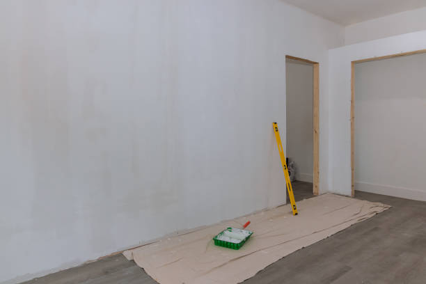 Best Ceiling Drywall Installation  in Sulphur, LA